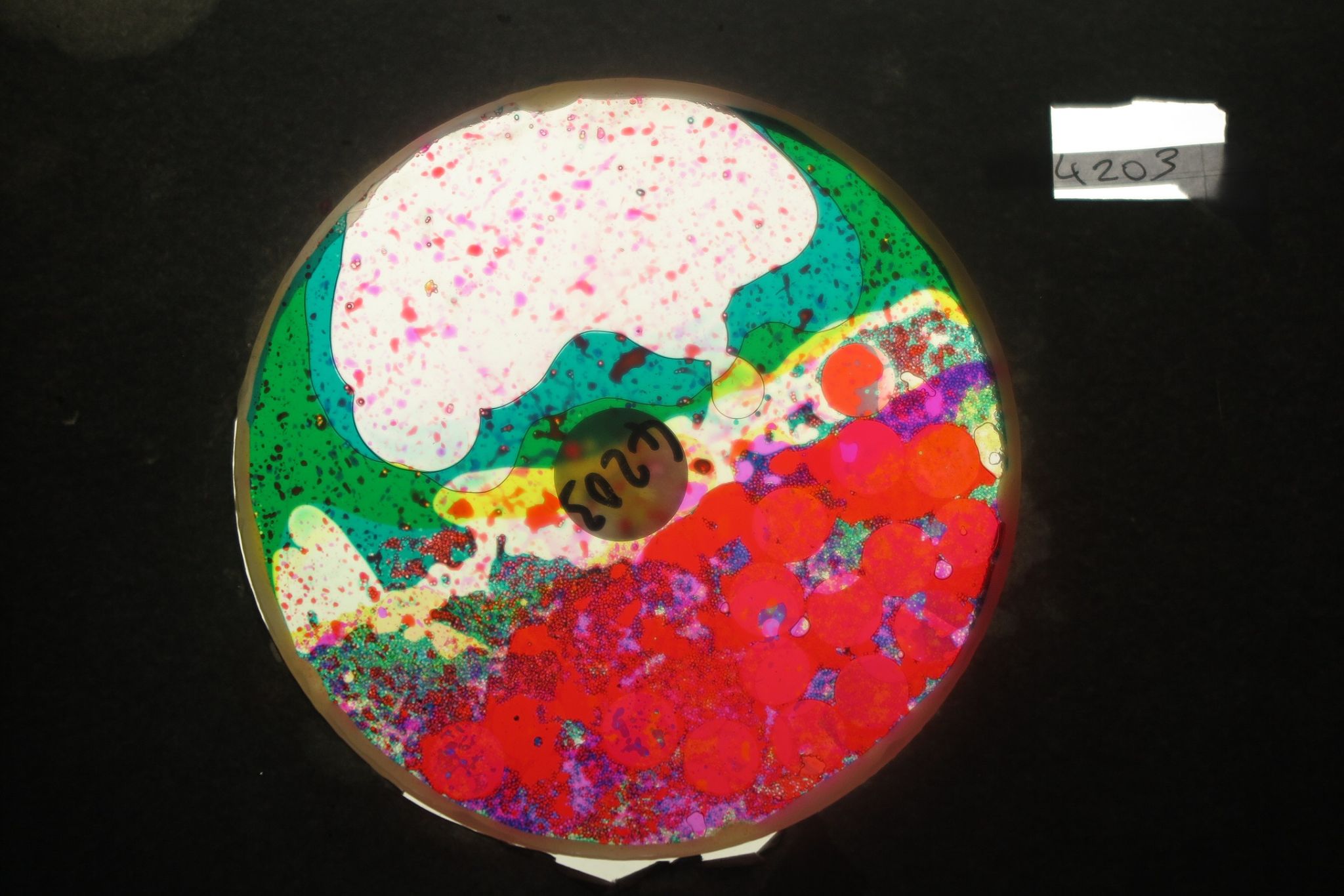 BV4203 bubble vision oil wheel